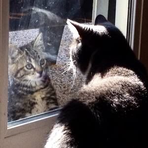 Meet your Posher, Margerite